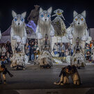 feerie de noel 12 25 fabb 3s8a9139