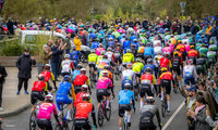Galerie Sports